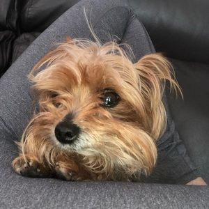 Meet your Posher, Elle